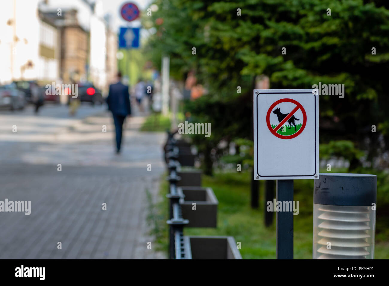 Set on the side of the street is a sign that forbids dogs to roam the ...
