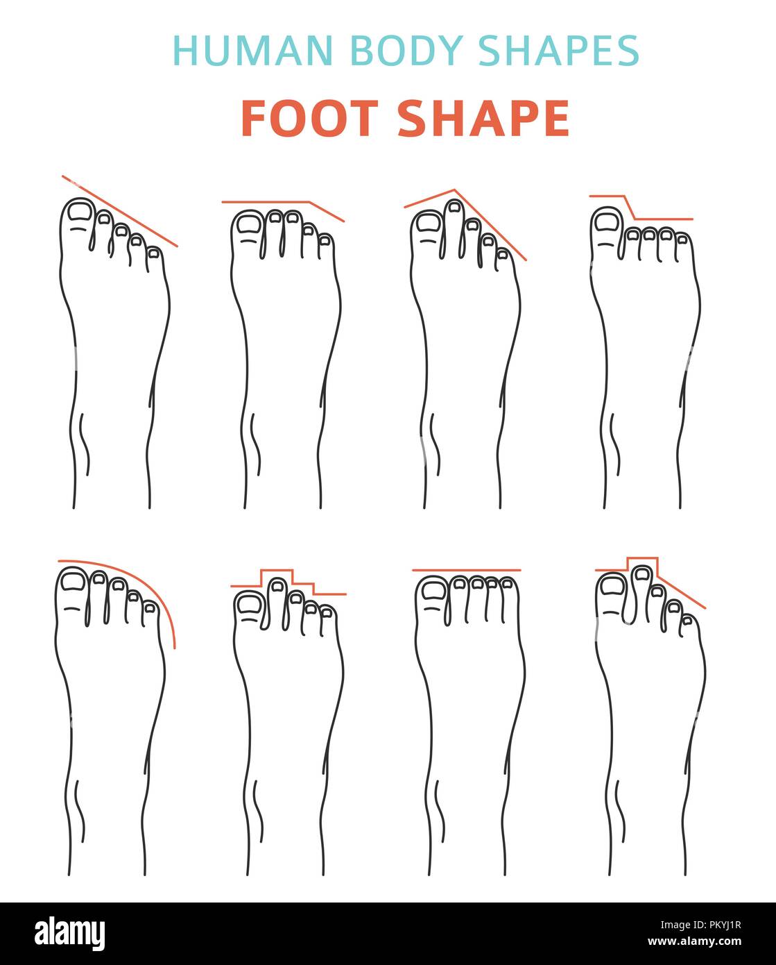 Human body shapes.Feet types icon set. Vector illustration Stock Vector