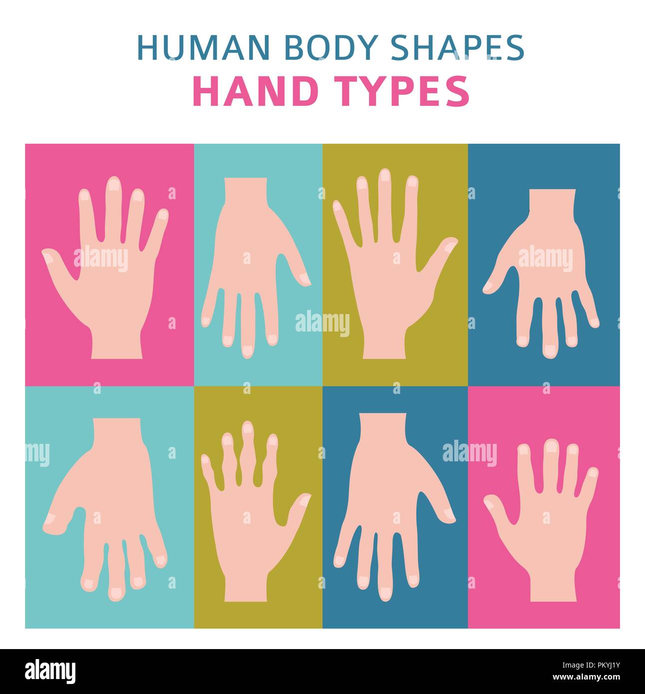 Human body shapes. Hand types icon set. Vector illustration Stock ...