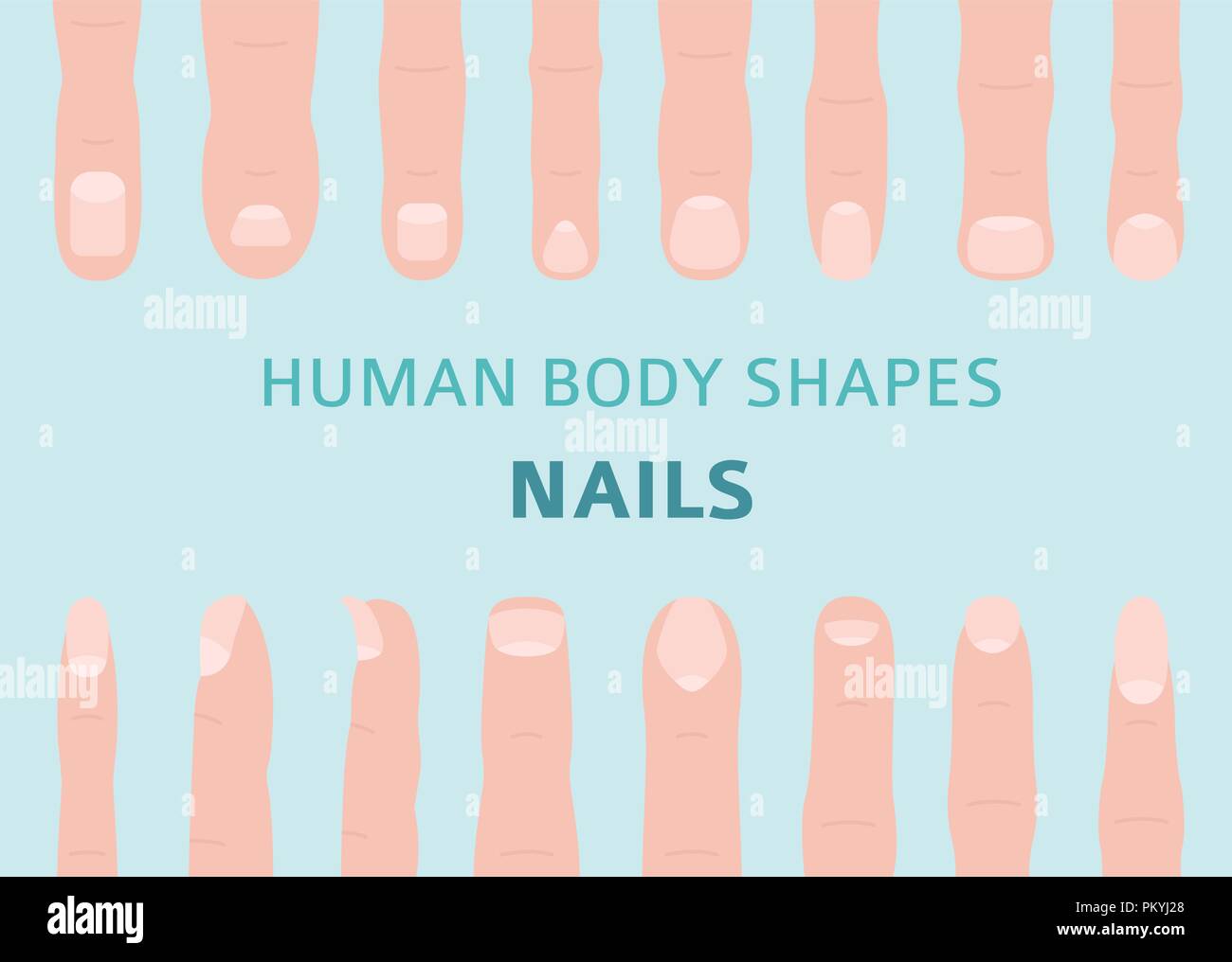 Hand finger Stock Vector Images Alamy