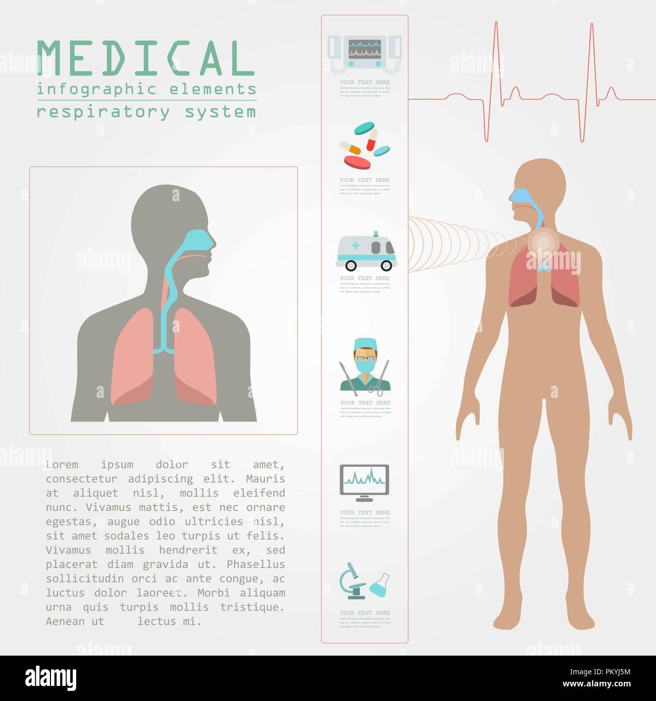 Medical and healthcare infographic, respiratory system infographics. Vector illustration Stock Vector