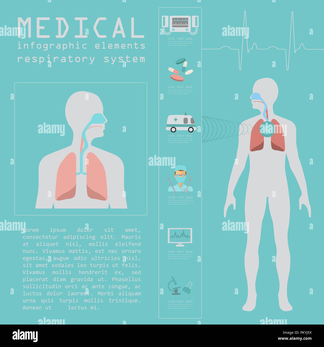 Medical and healthcare infographic, respiratory system infographics