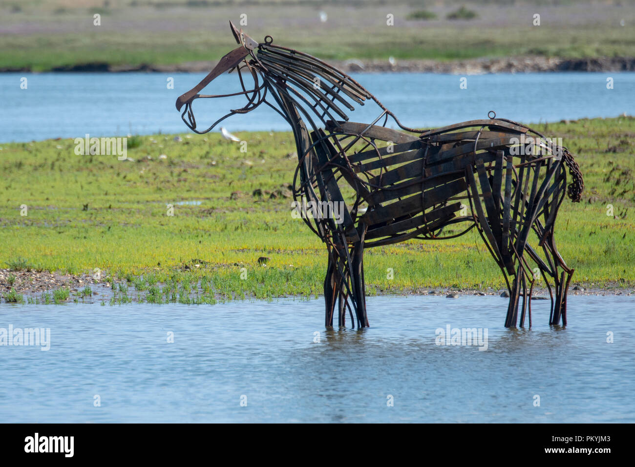 The Lifeboat Horse sculpture by Rachael Long in WellsNextTheSea harbour Stock Photo Alamy