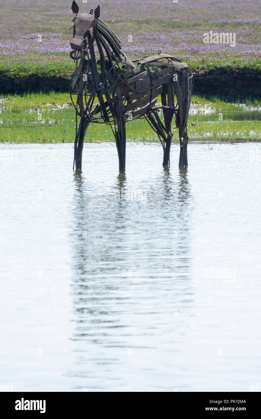 The Lifeboat Horse sculpture by Rachael Long in WellsNextTheSea harbour Stock Photo Alamy