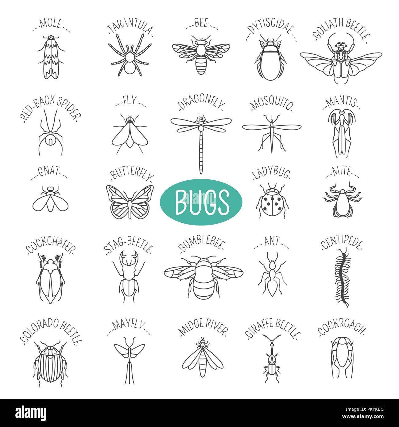Goliath beetle Cut Out Stock Images &amp; Pictures - Alamy