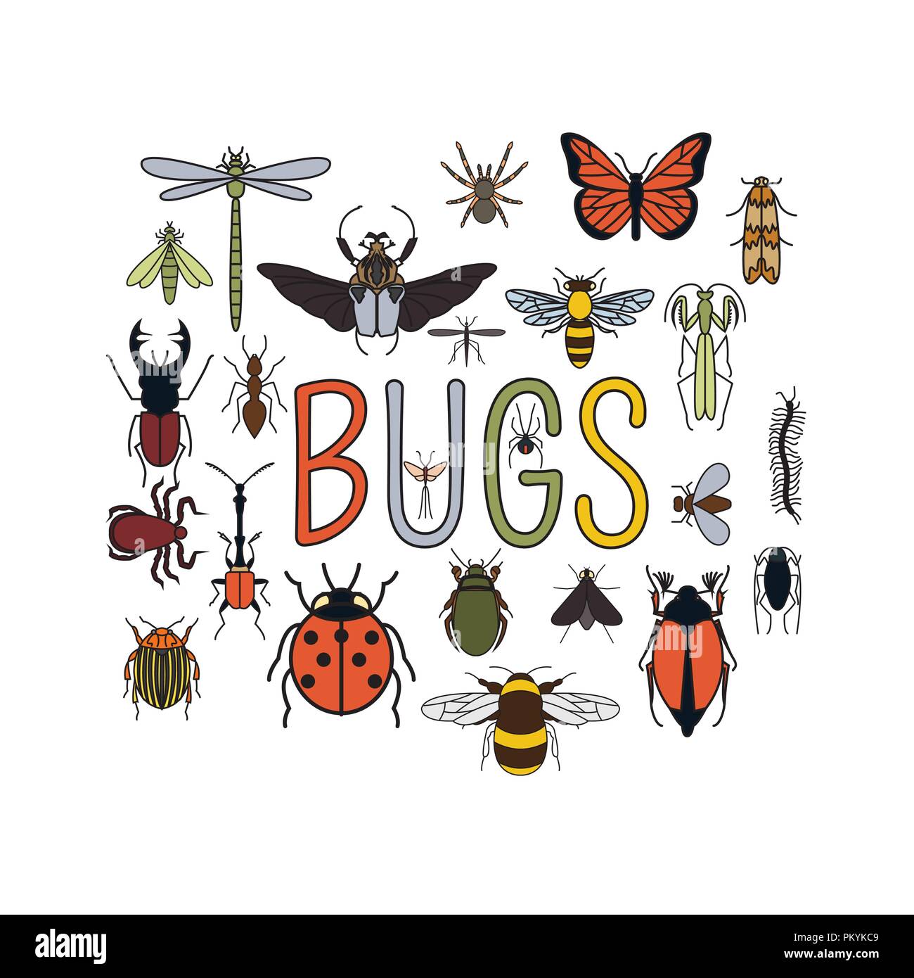 Goliath beetle Cut Out Stock Images &amp; Pictures - Alamy