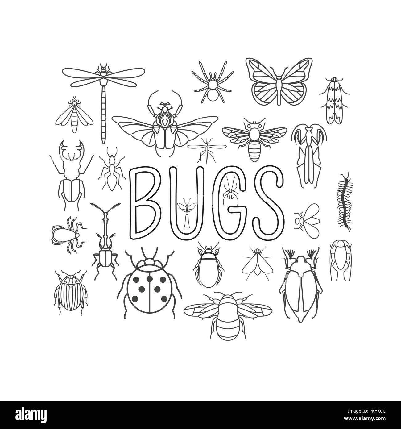 Insects icon flat style. 24 pieces in set. Outline version. Vector illustration Stock Vector
