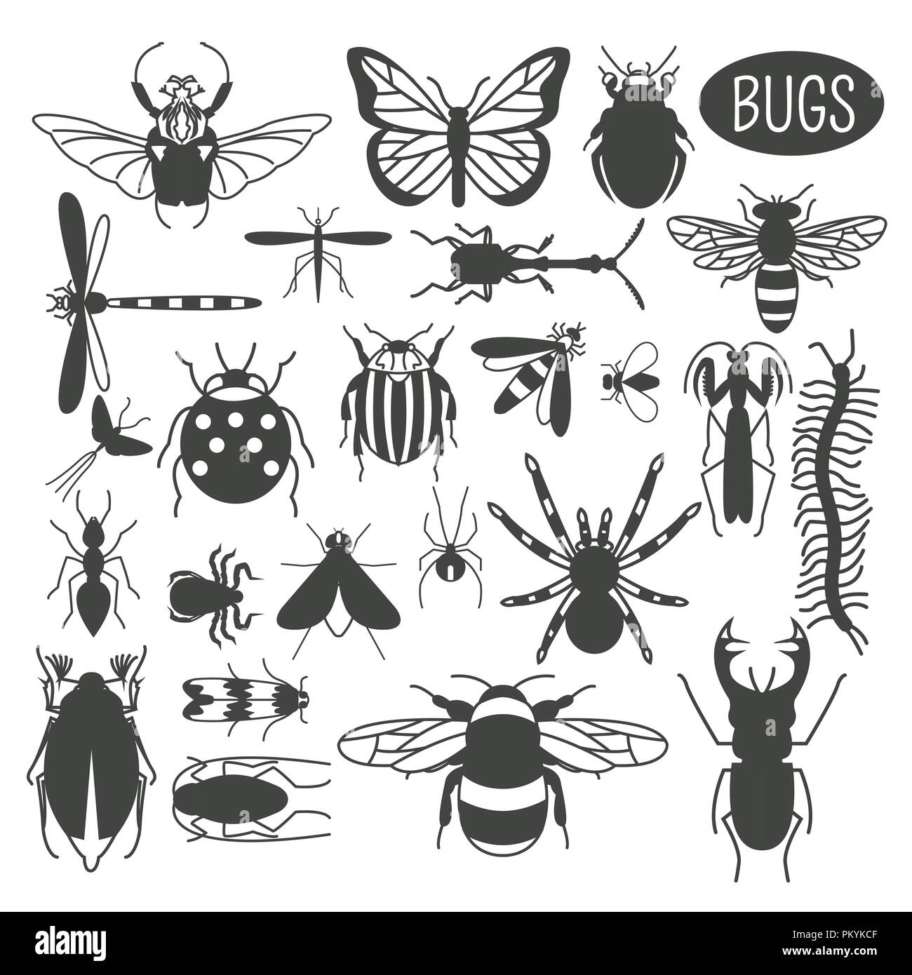 Insects icon flat style. 24 pieces in set. Colour version. Vector illustration Stock Vector