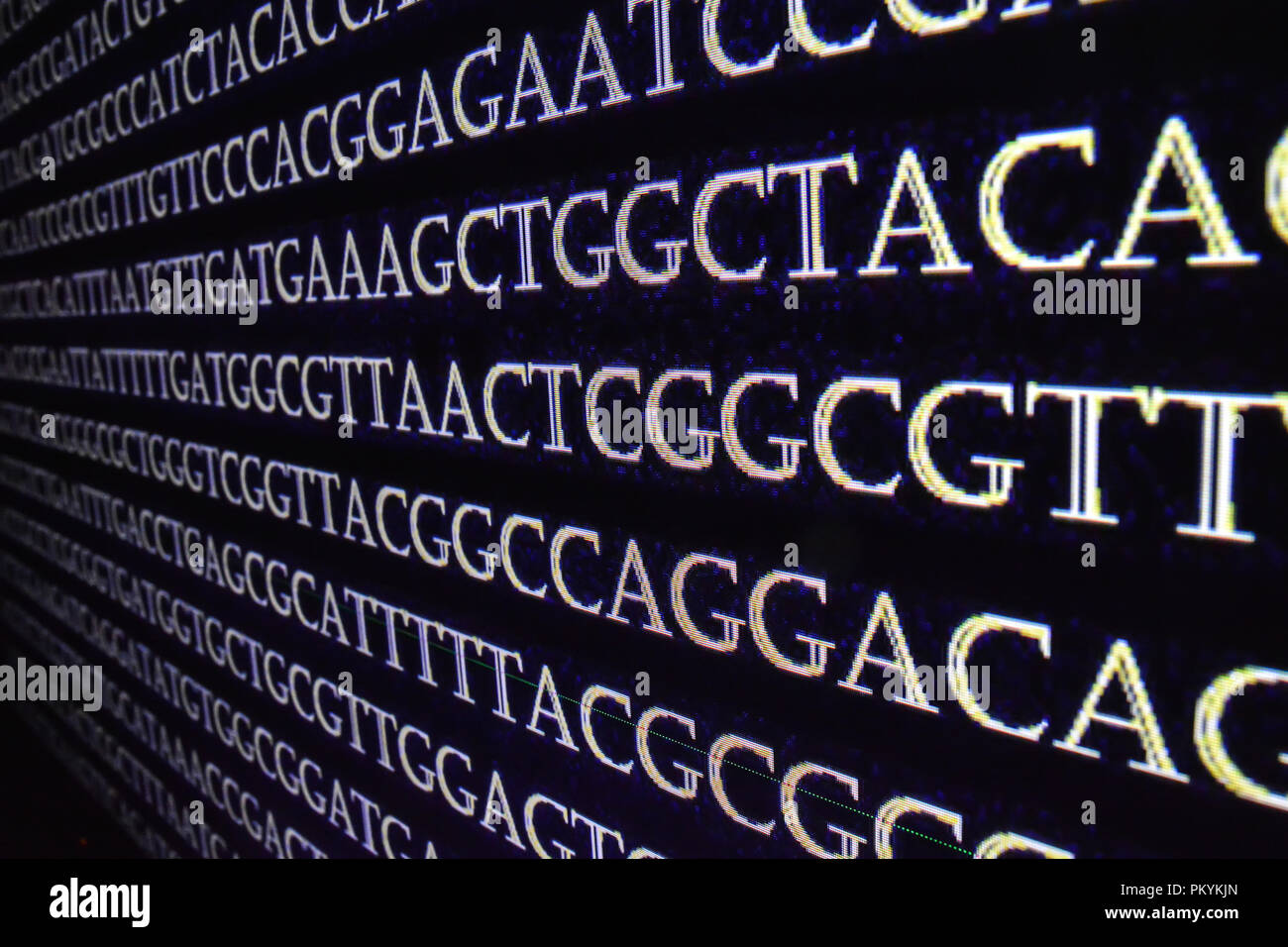Genomic sequencing. The sequence of nucleotide bases in DNA. Stock Photo