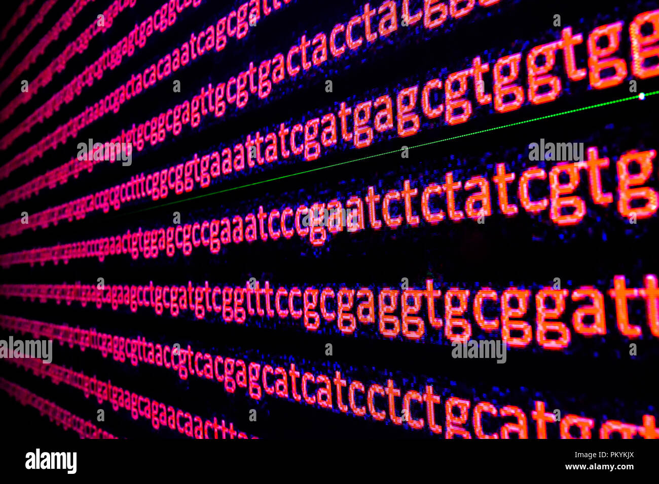 Genomic sequencing. The sequence of nucleotide bases in DNA. Stock Photo