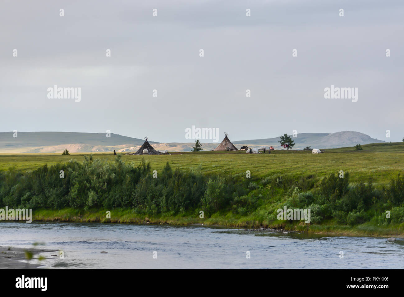 Reindeer herders camp in the natural Park of the Polar Urals. Dwellings of the Nenets on Yamal. Stock Photo