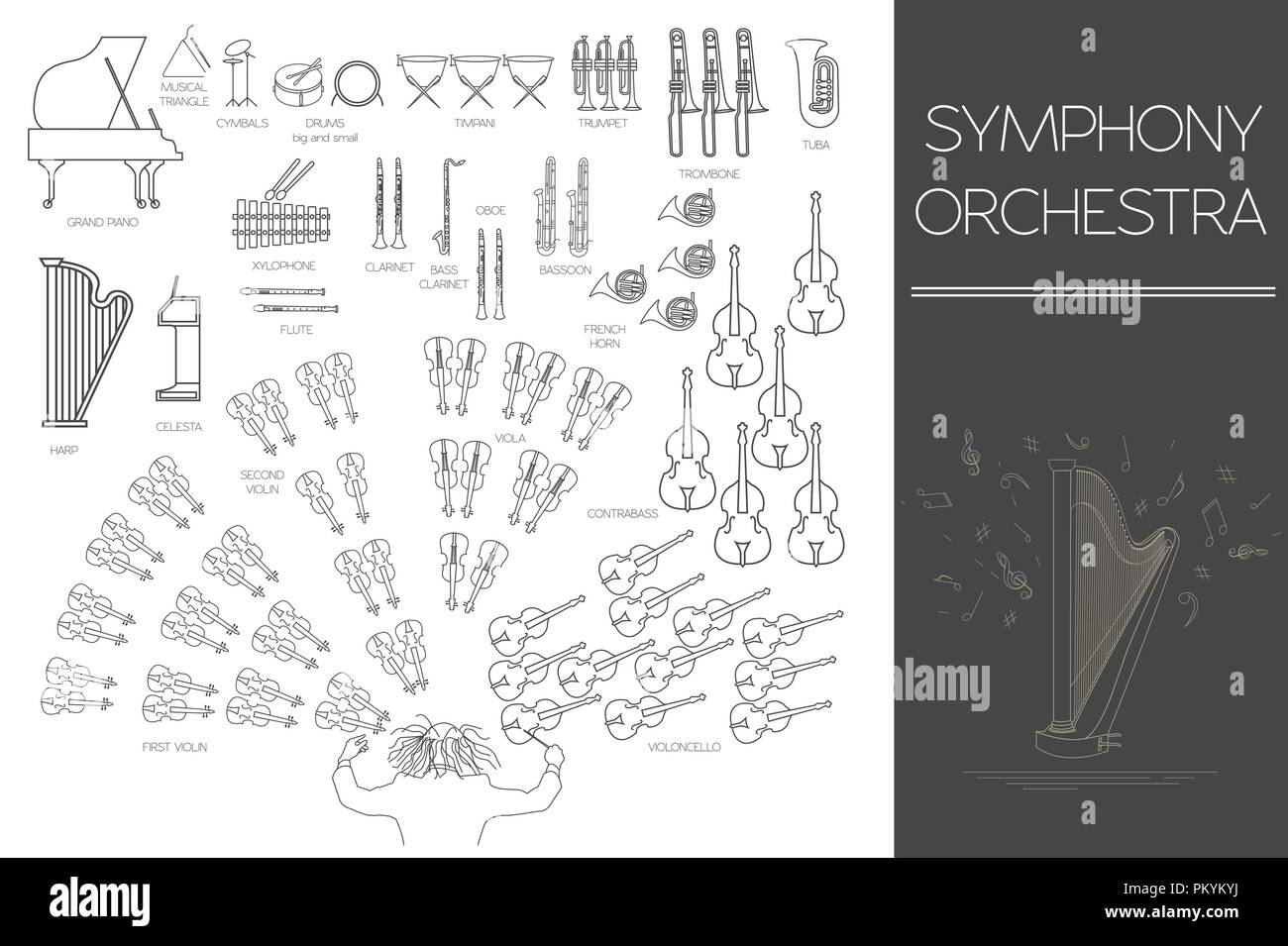 Musical instruments graphic template. All types of musical instruments