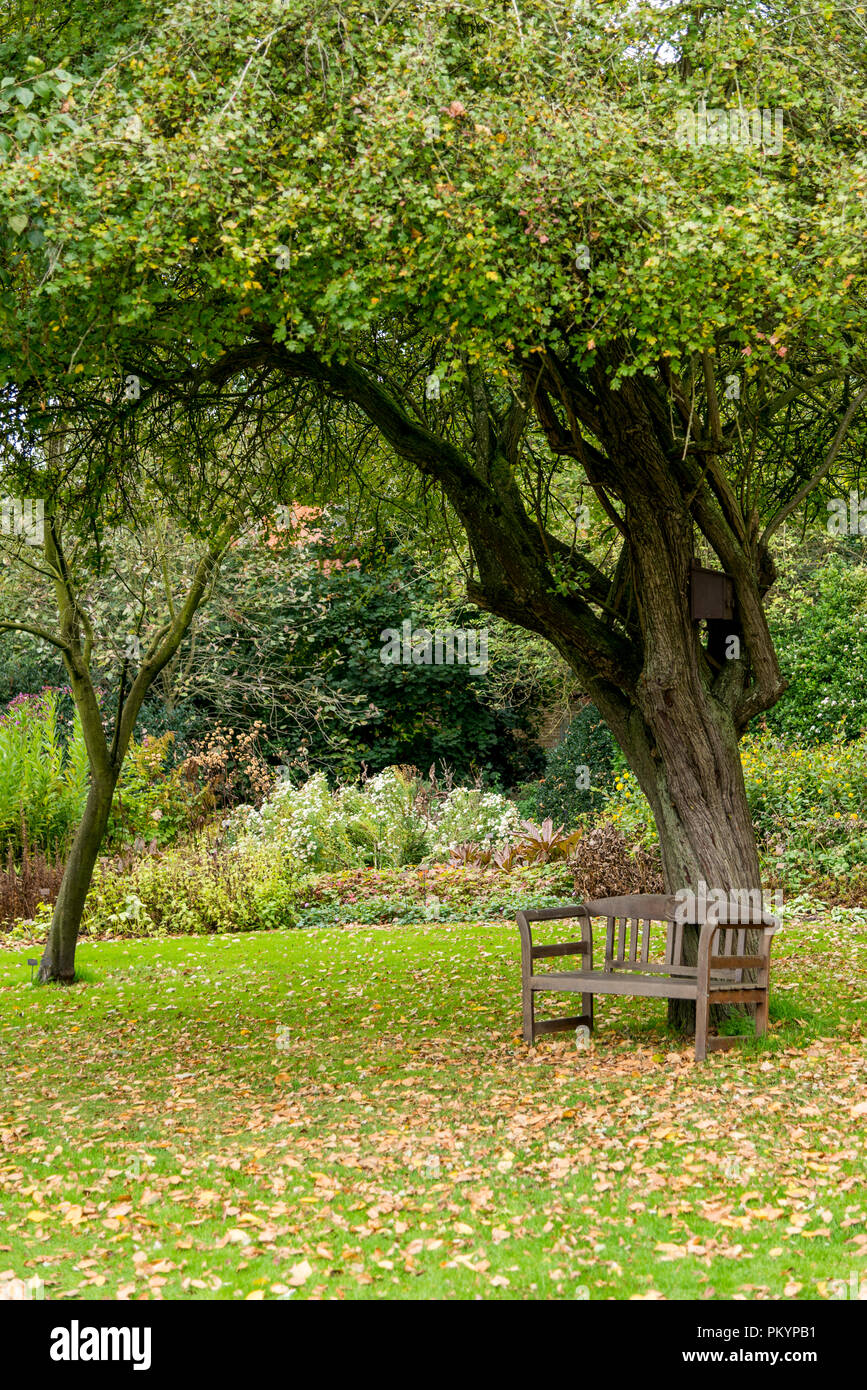 Bressingham Gardens - west of Diss in Norfolk, England - United Kingdom - Photo taken  October 7 2017 Stock Photo