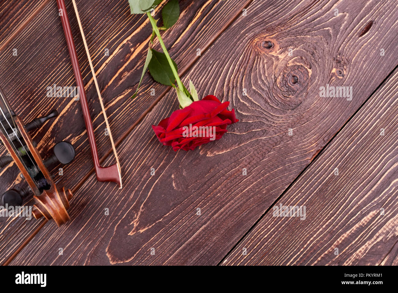 Violin, bow, rose and copy space. Stock Photo