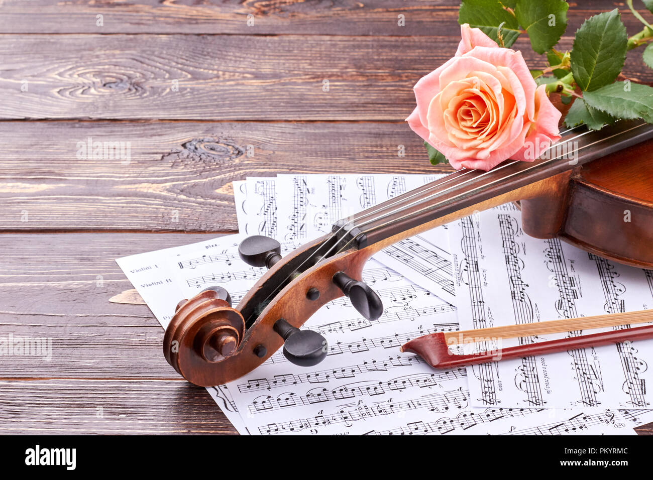 Флейта в цветах. Флейта и цветы. Скрипка и флейта цветы. Розовая скрипка.