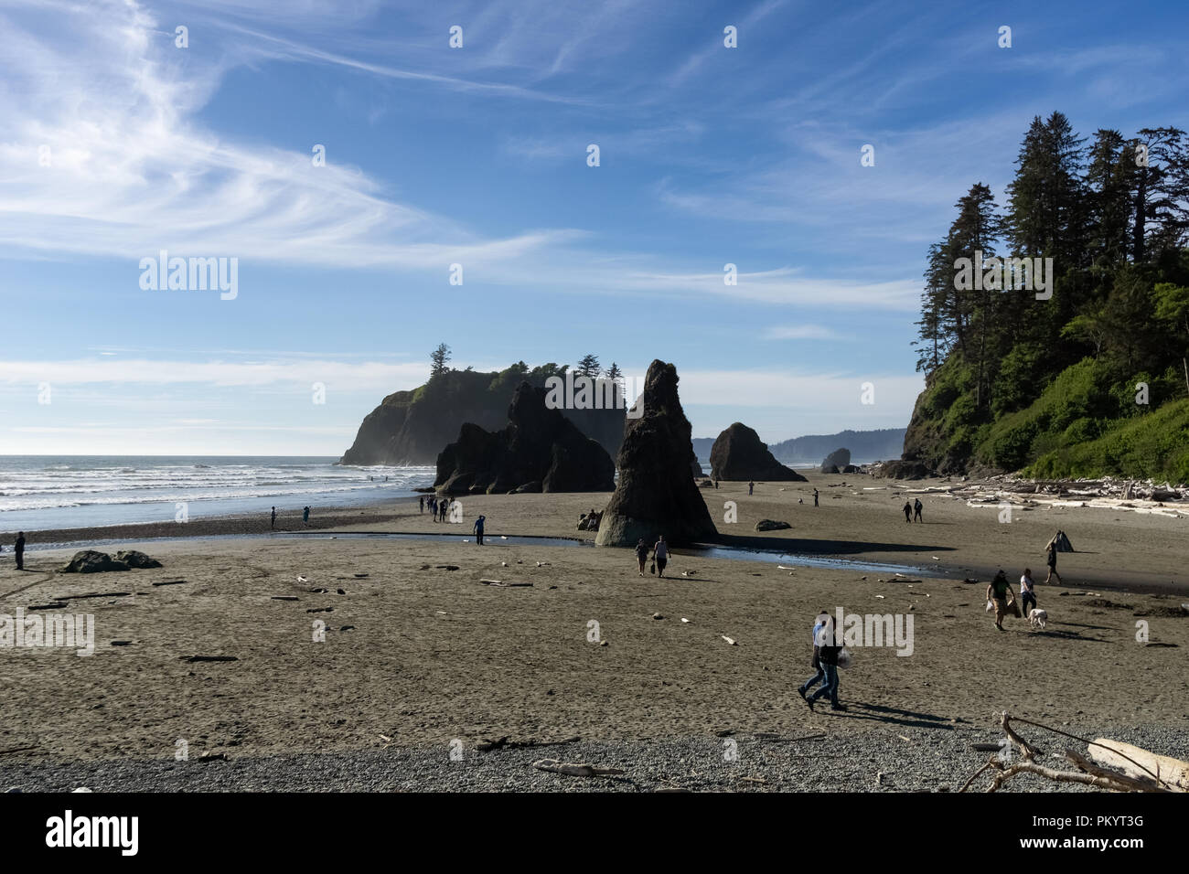 Beach Olympic National Park A Haven of Natural Wonder