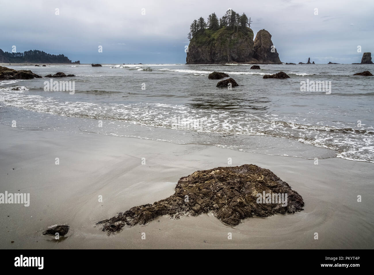 The Crying Lady Rock at Second Beach, Quillayute Needles, La Push