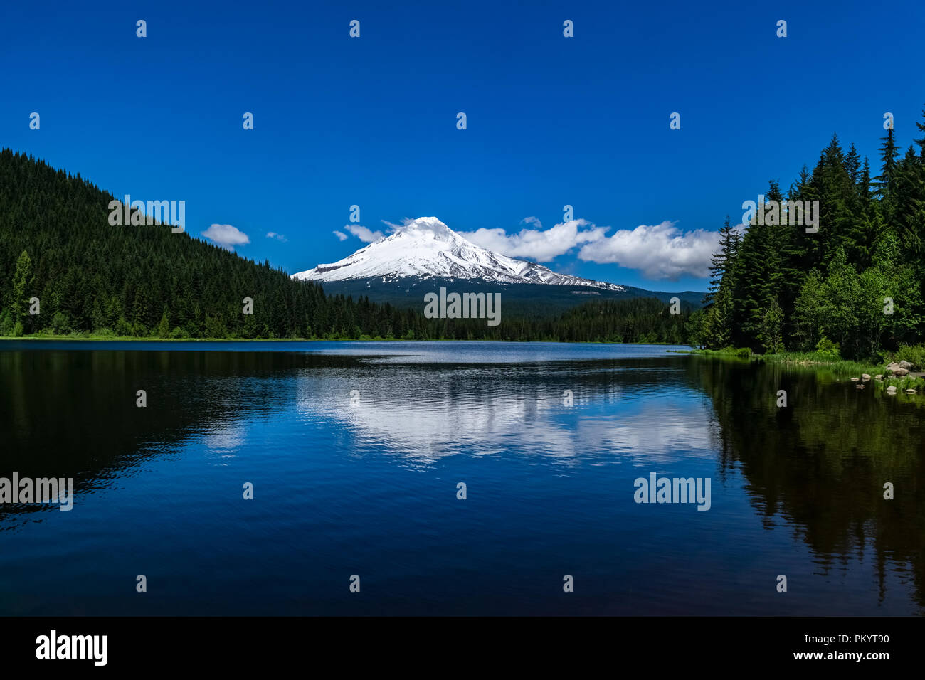 Mt Hood covered with snow reflecting in Trillium Lake on a beautiful