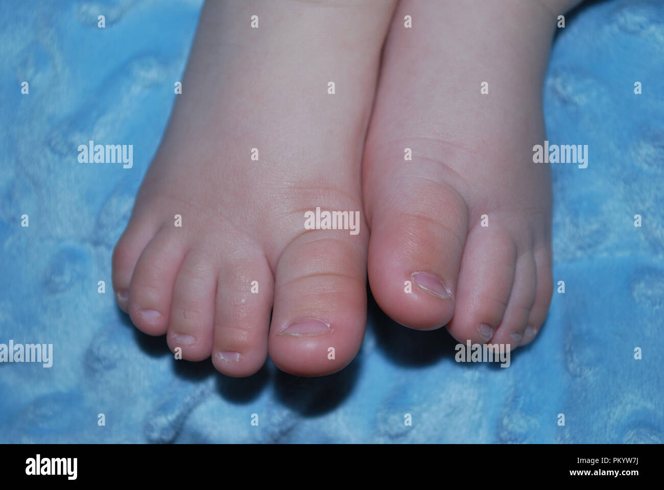 baby feet on blue blanket Stock Photo