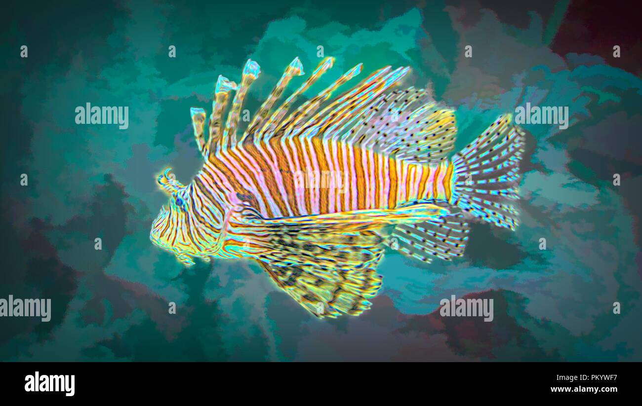 Lion Fish in the OdySea Aquarium in Scottsdale, Arizona Stock Photo Alamy