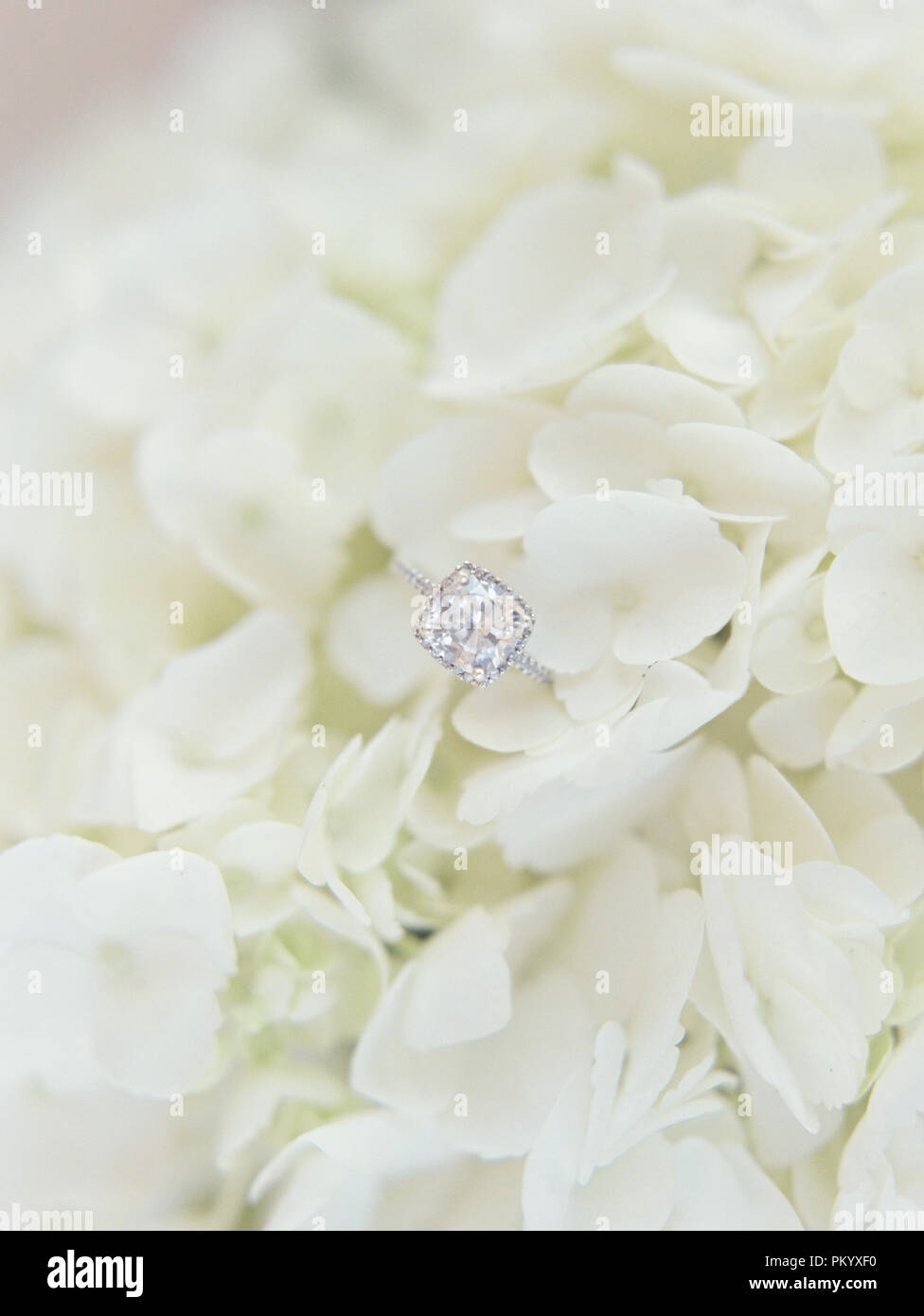 Wedding Ring on White Flower Bouquet Stock Photo Alamy