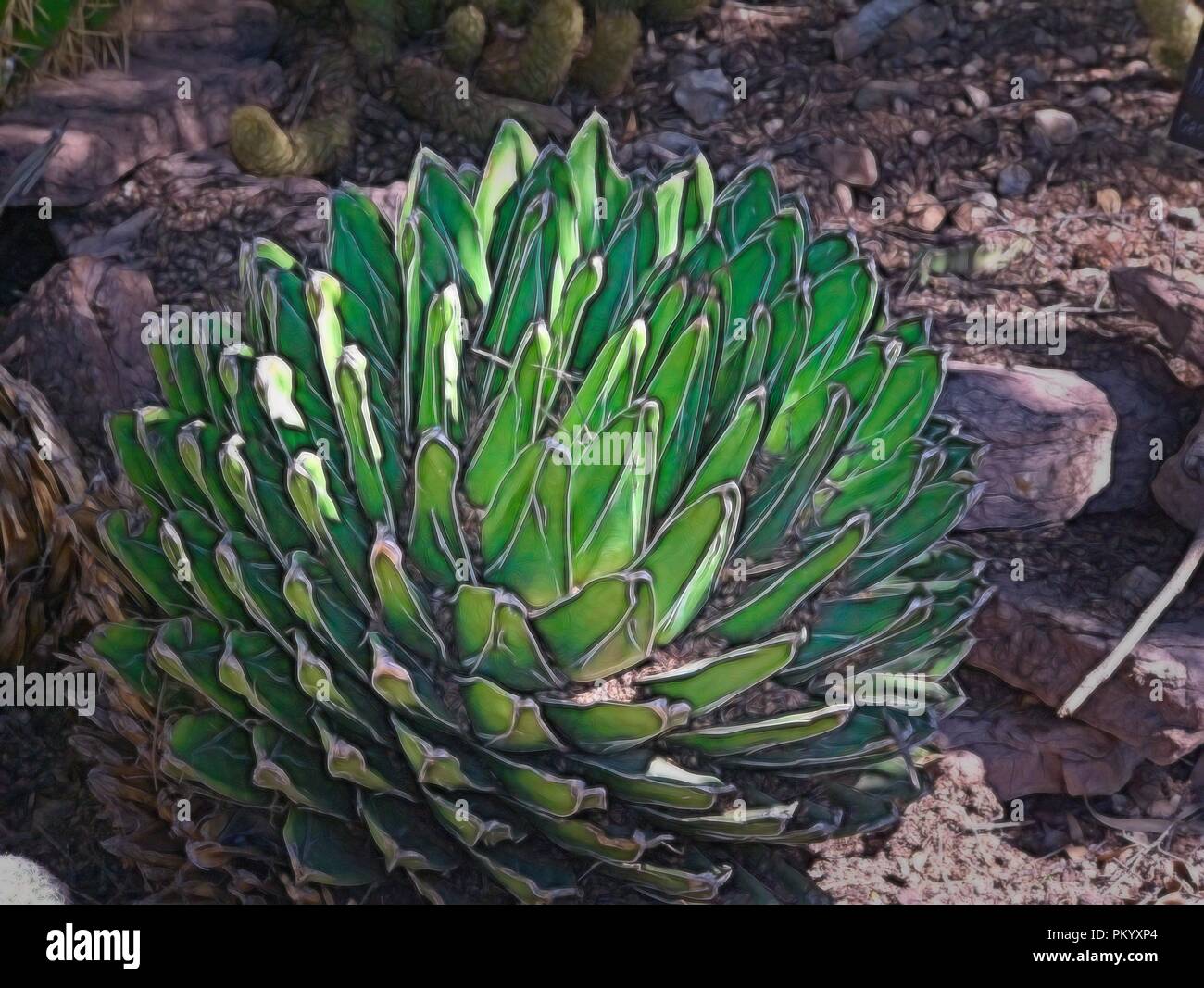 Cactus in the Sedona Red Rocks State Park in Arizona Stock Photo - Alamy