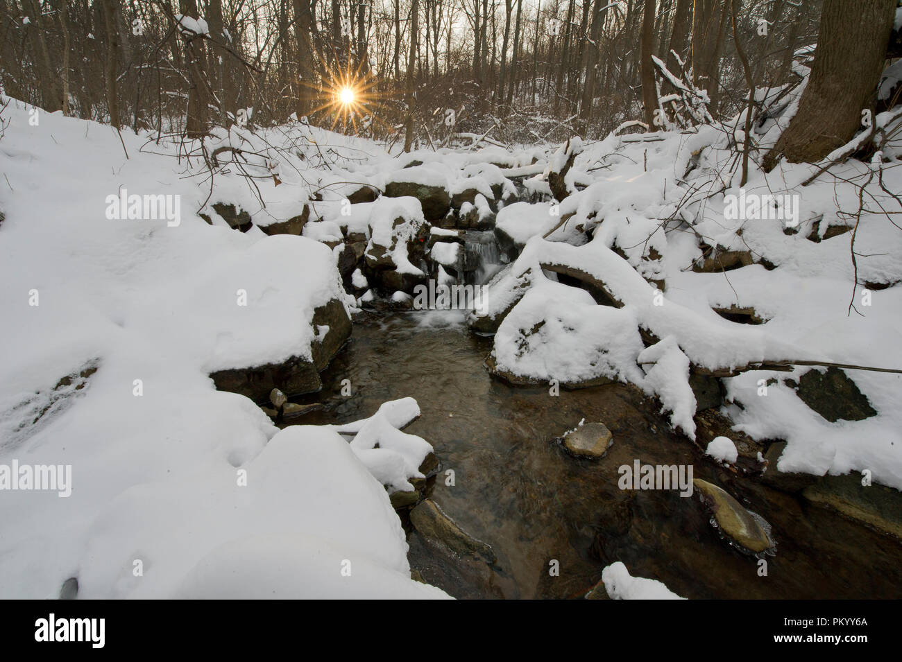 UNITED STATES Jan 22 The National Weather Service says temperatures
