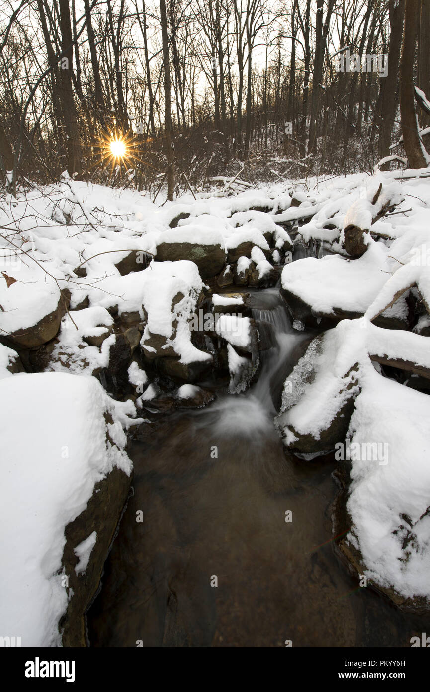 UNITED STATES Jan 22 The National Weather Service says temperatures