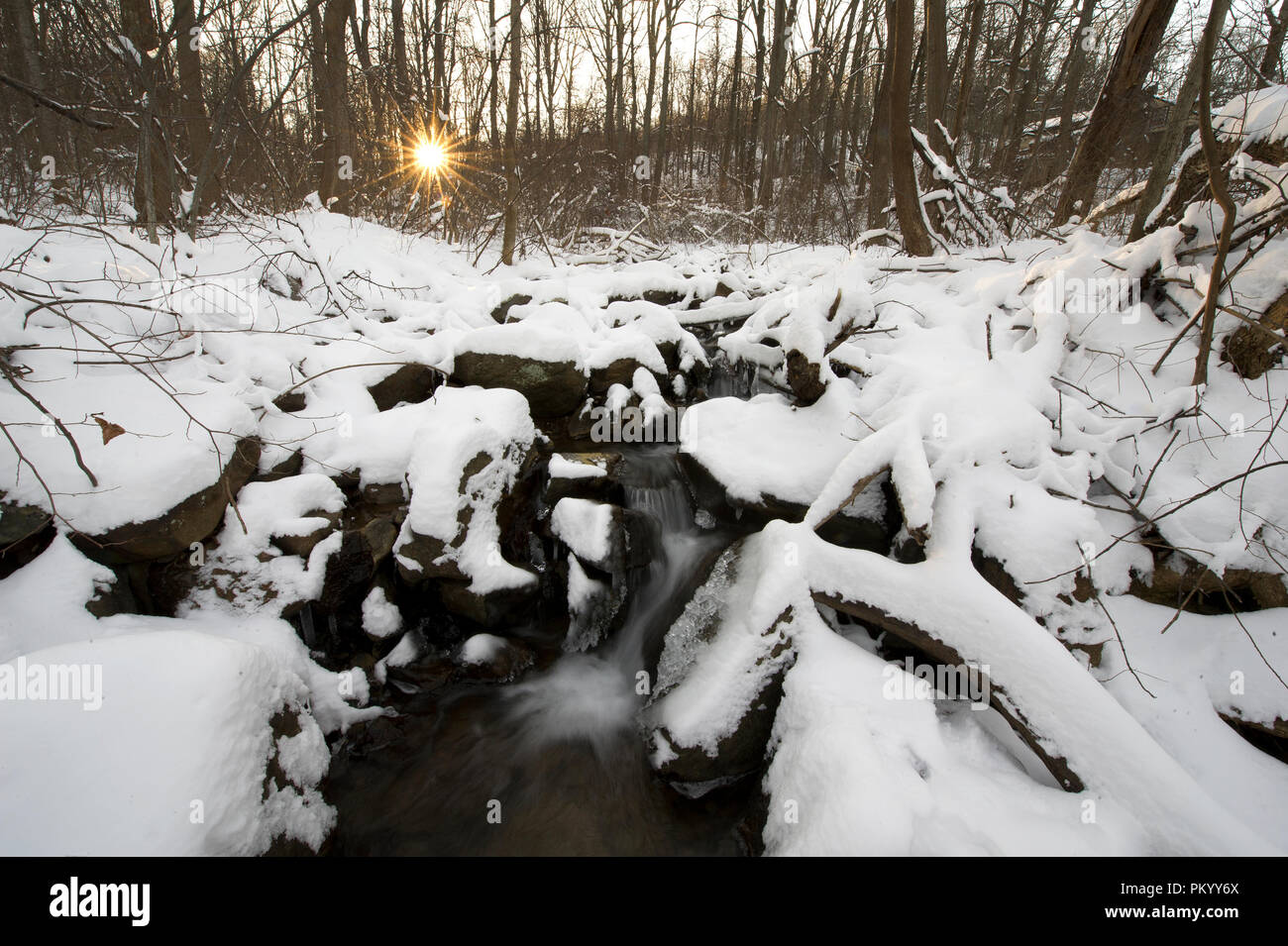 UNITED STATES Jan 22 The National Weather Service says temperatures