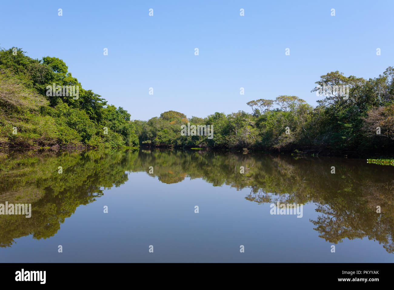 Panorama From Pantanal, Brazilian Wetland Region. Navigable Lagoon ...