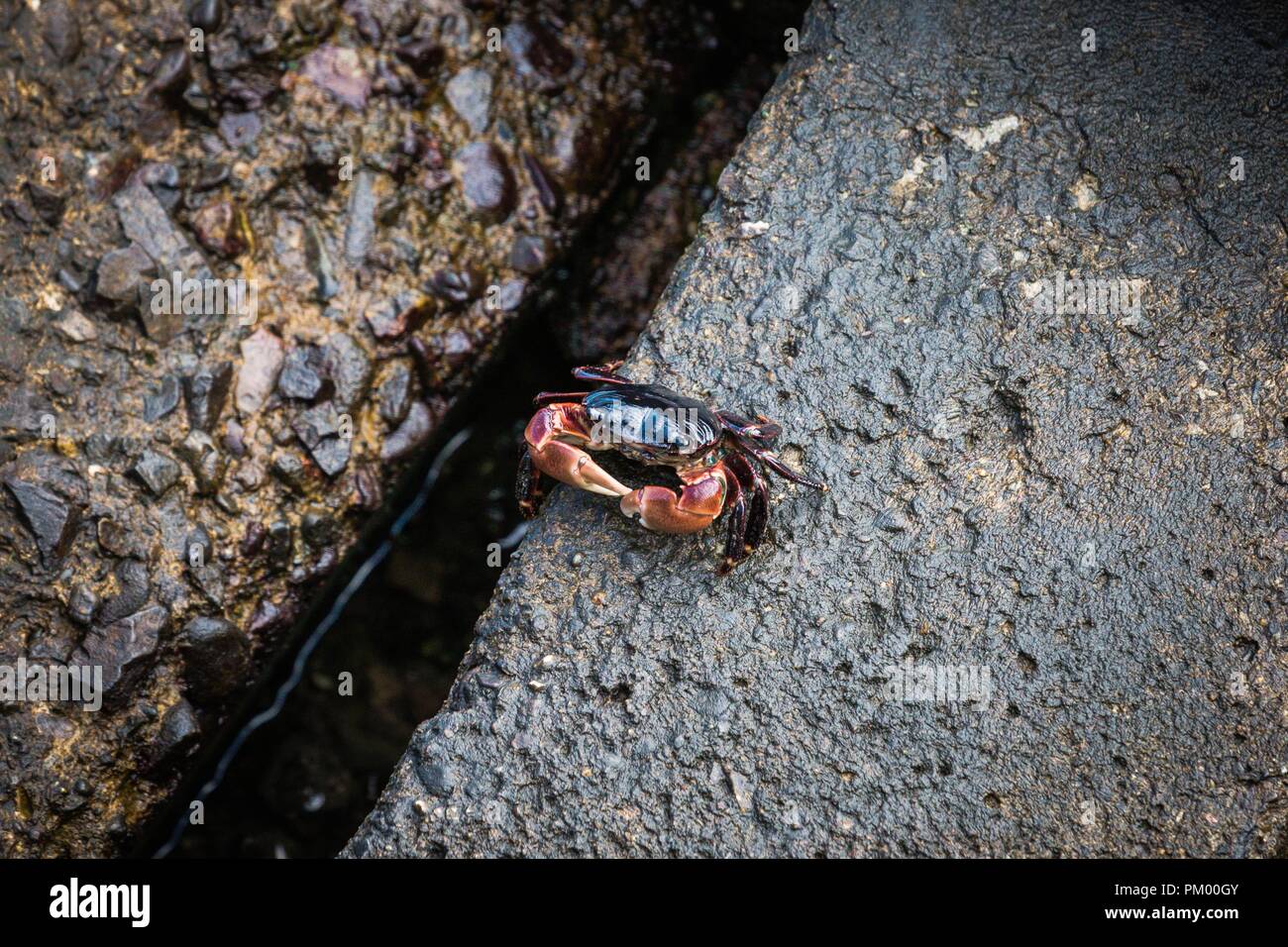 Blyde River Canyon Stock Photo