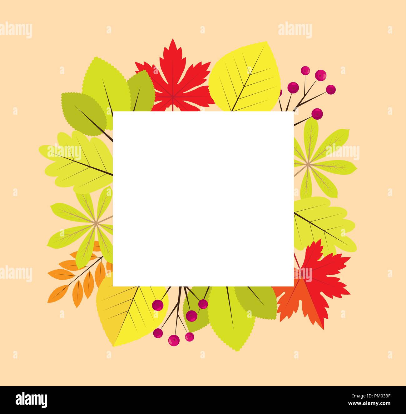 vector illustration of a fall frame with fall autumn leaves Stock ...