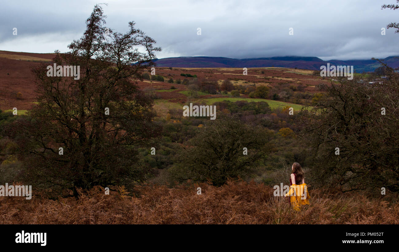 Self portrait on Llangynidr Mountain Stock Photo