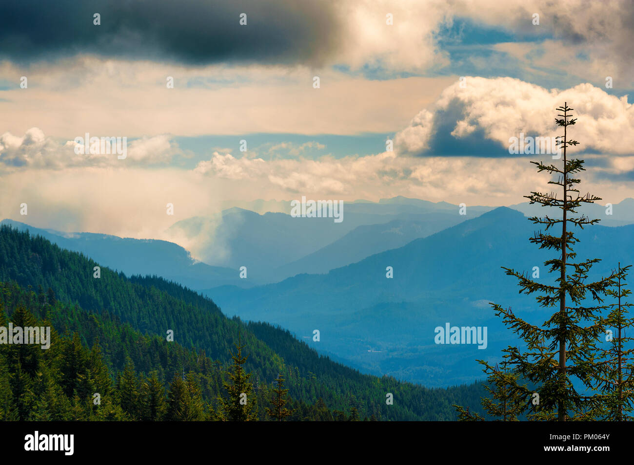 Cascade Range, Pacific Northwest, Volcanic, Wilderness