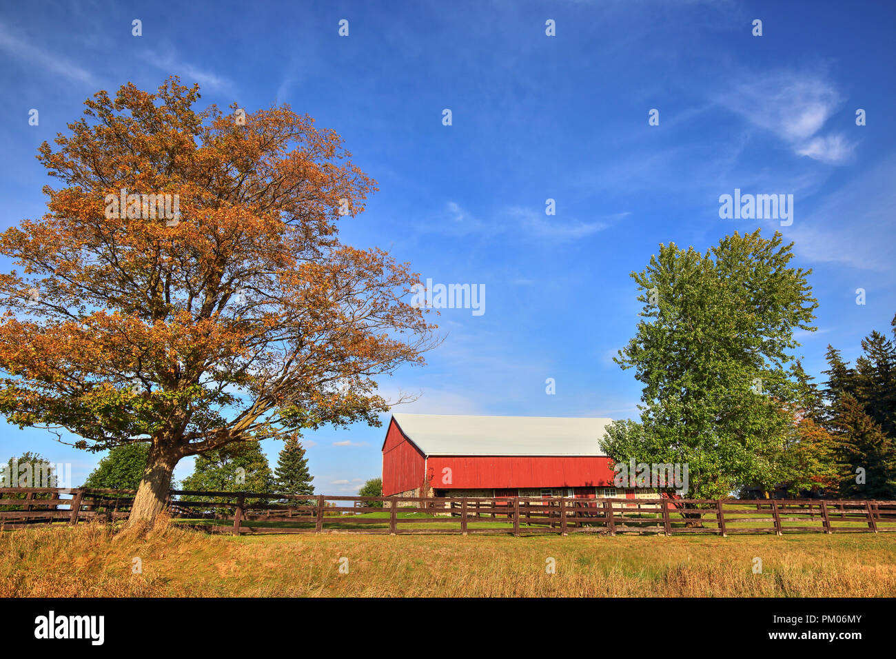 Typical Canadian Countryside in Ontario Stock Photo