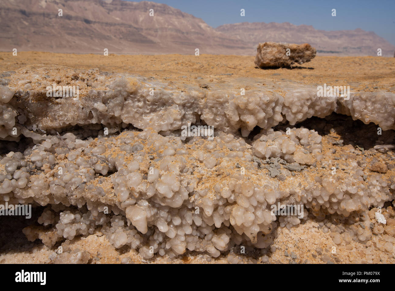 Salt forming on the shore of the sea in Israel with the desert behind Stock Photo