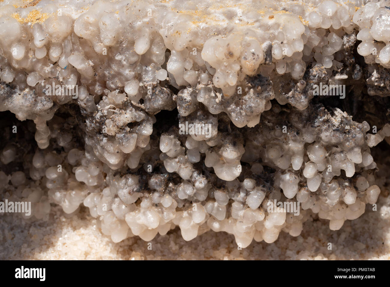 Close up of sea salt forming on the shore at the Dead Sea in Israel Stock Photo