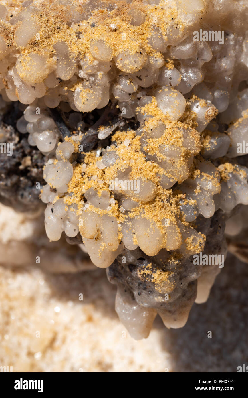 Salt crystal covered by sand at the Dead Sea Stock Photo
