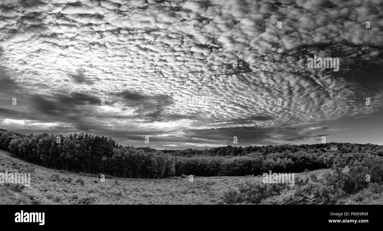 Stunning mackerel sky cirrocumulus altocumulus cloud formations in Summer sky landscape black and white image Stock Photo