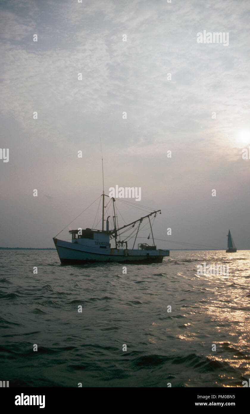 Shrimp boat texas hi-res stock photography and images - Alamy