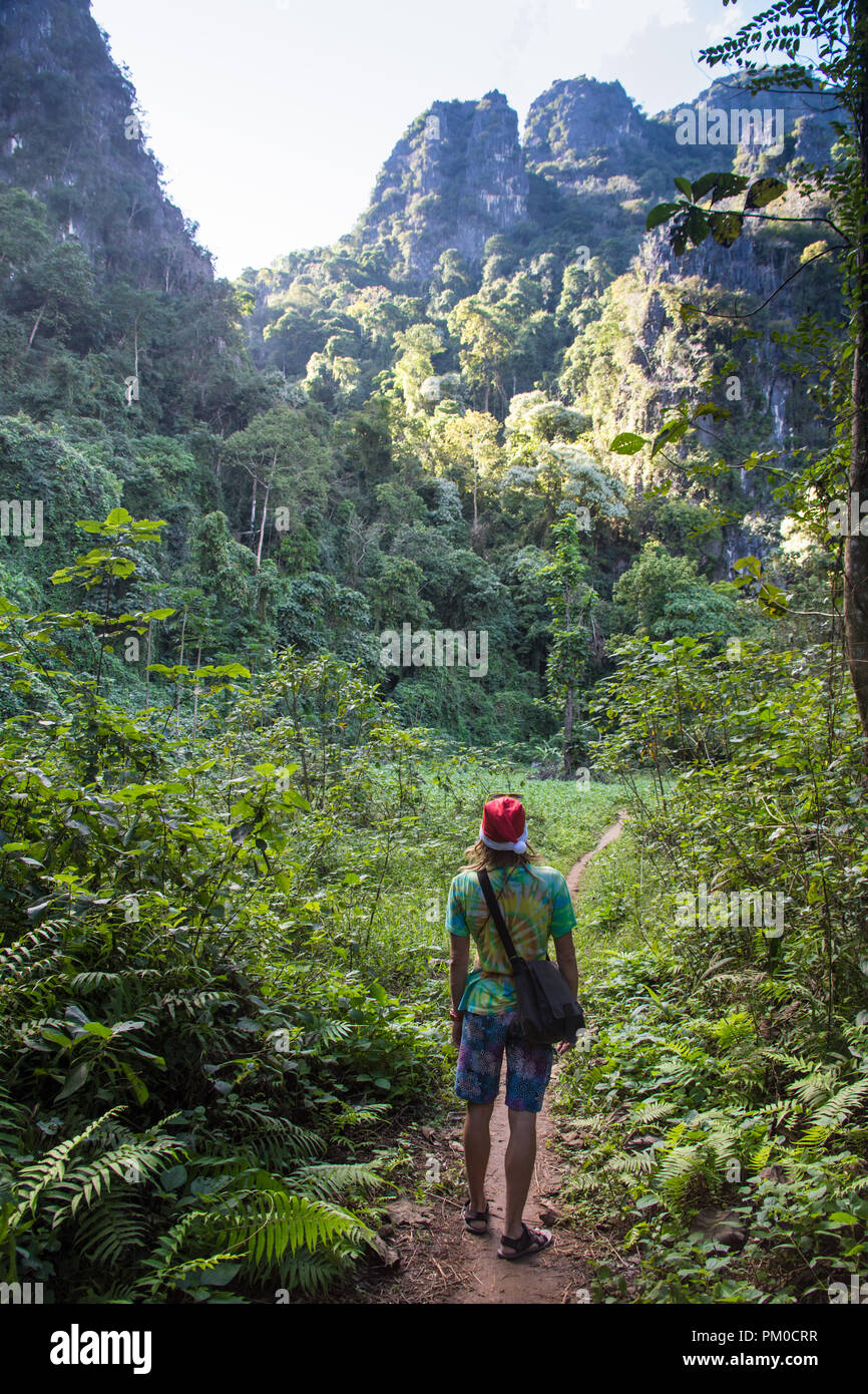man hiking in a thick rainforest Stock Photo - Alamy