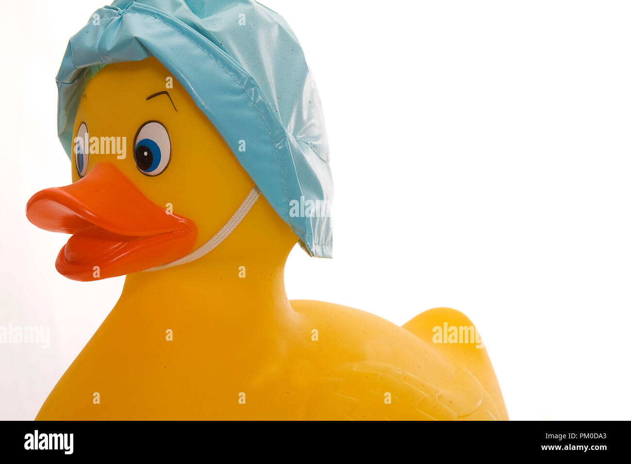 Yellow Rubber Duck Isolated on White Background Stock Photo - Alamy