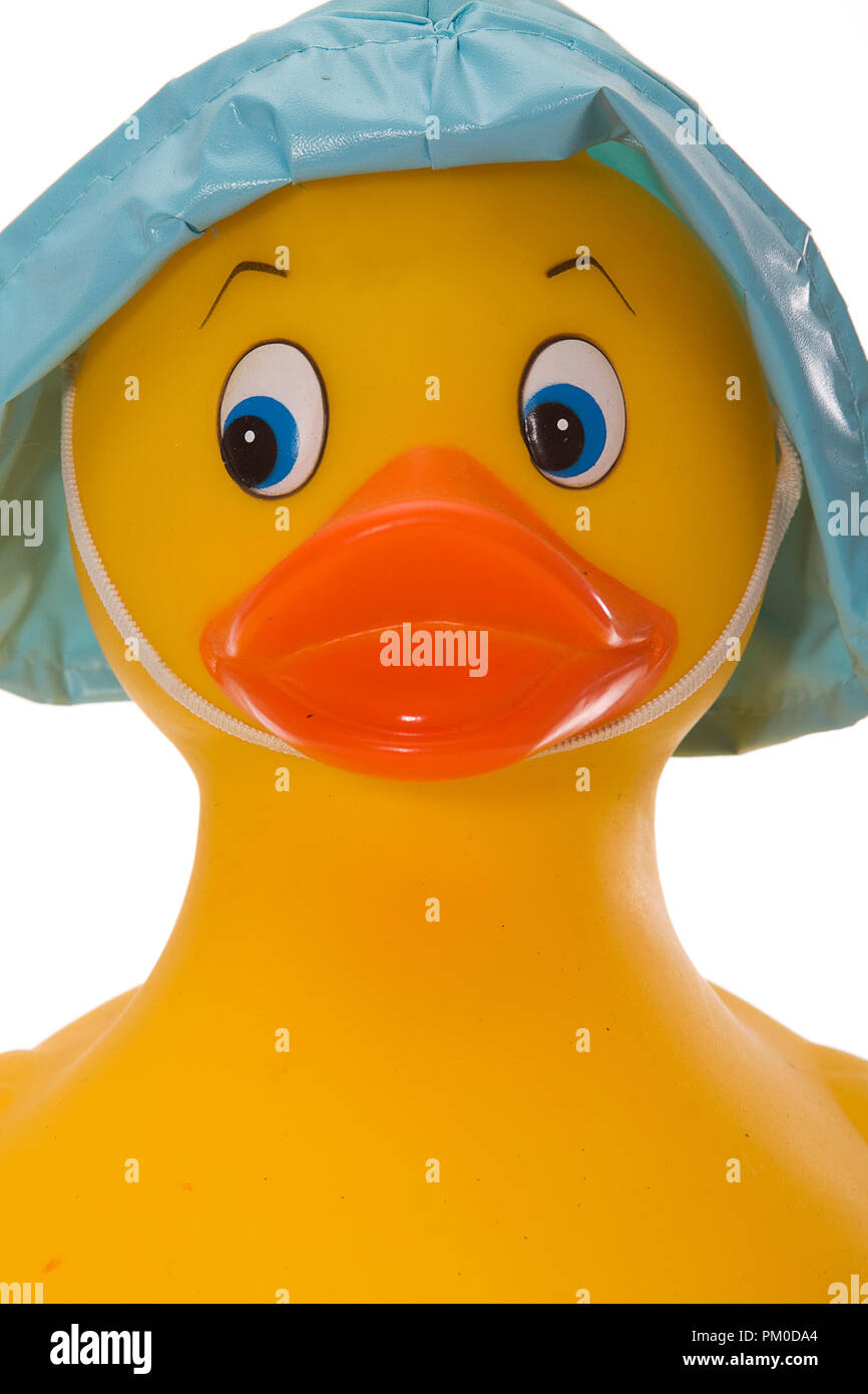 Yellow Rubber Duck Isolated on White Background Stock Photo - Alamy