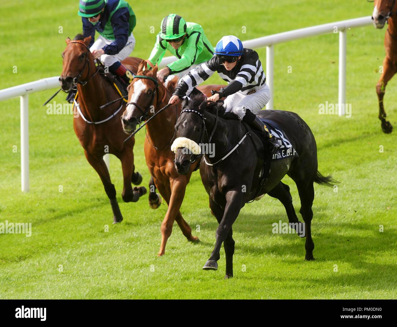 Soffia ridden by Danny Sheehy win the Bold Lad Sprint Handicap during day two of the 2018 Longines Irish Champions Weekend at Curragh racecourse County Neath. Stock Photo