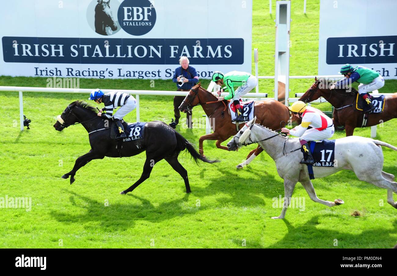 Soffia ridden by Danny Sheehy win the Bold Lad Sprint Handicap during day two of the 2018 Longines Irish Champions Weekend at Curragh racecourse County Neath. Stock Photo