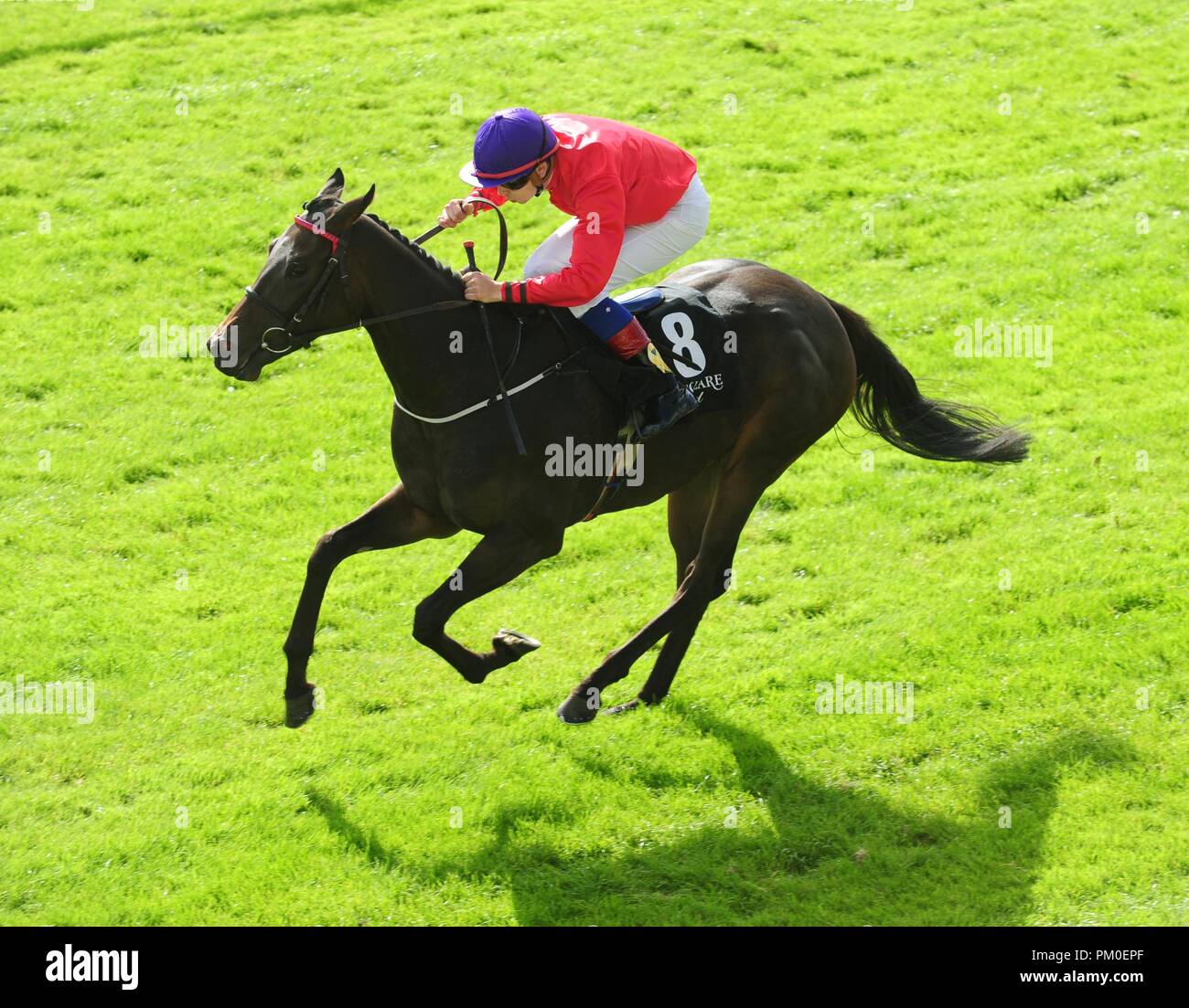 Skitter Scatter ridden by Ronan Whelan (left) win the Moyglare Stud Stakes during day two of the 2018 Longines Irish Champions Weekend at Curragh racecourse County Neath. Stock Photo
