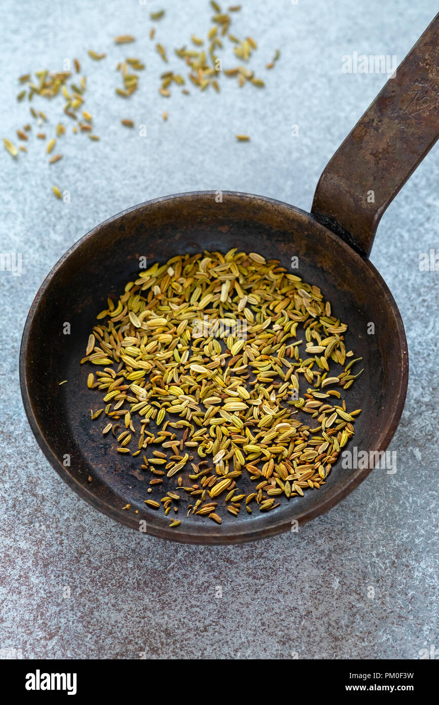 Toasted Fennel Seeds Stock Photo