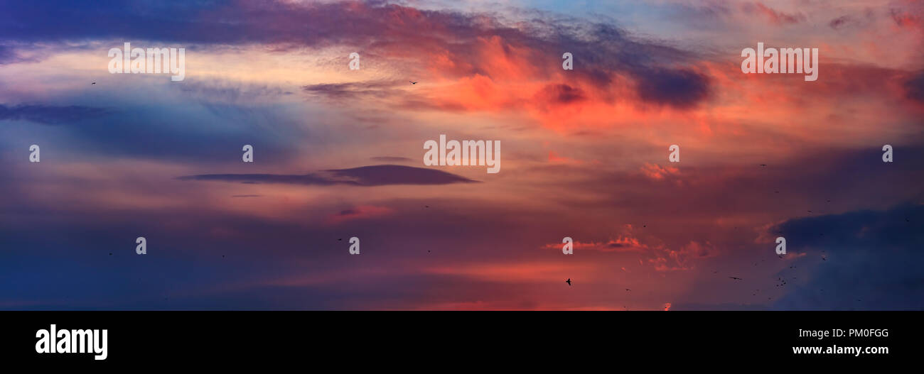 Colorful sunset sky Stock Photo - Alamy