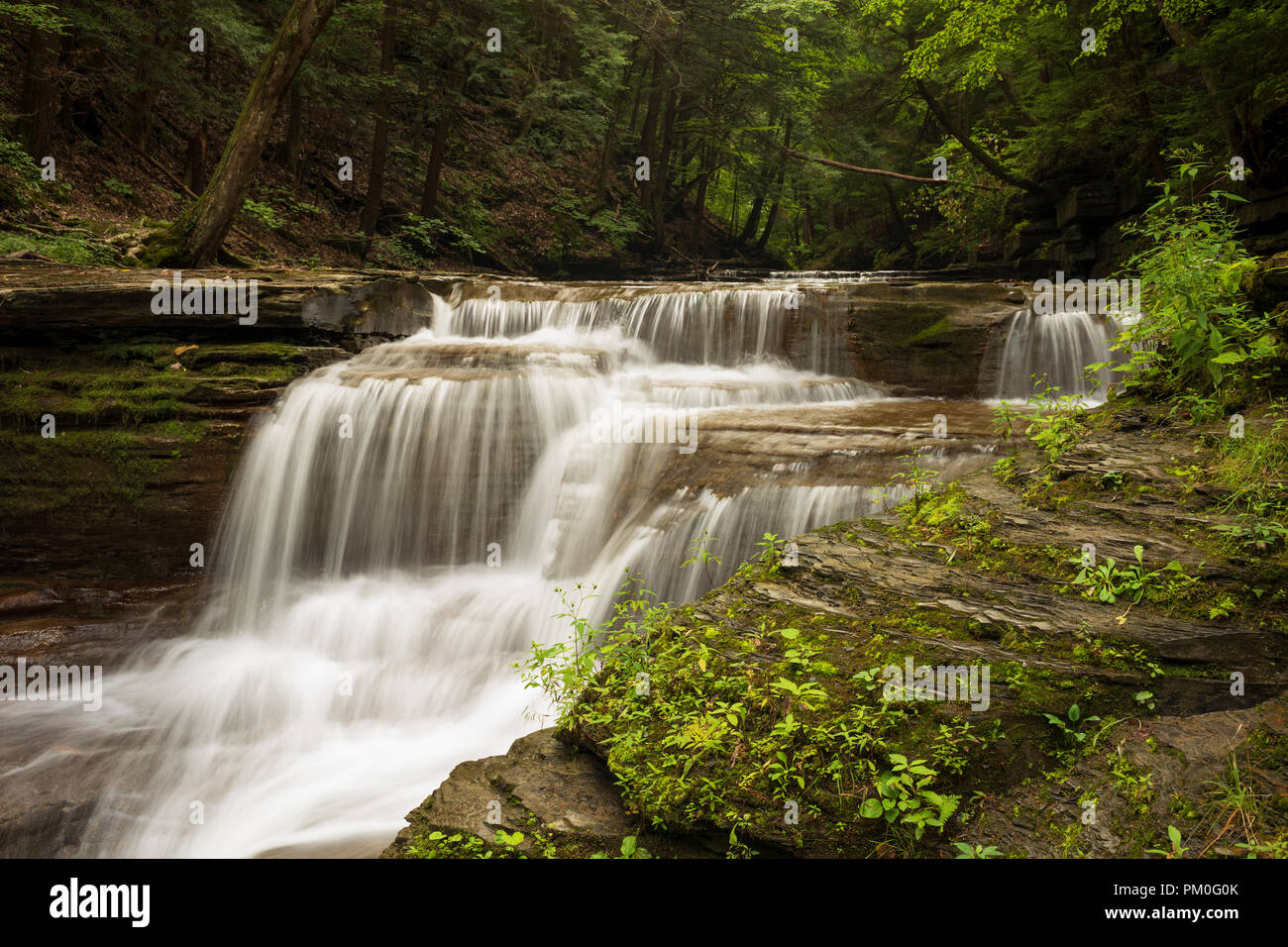 Buttermilk Falls State Park is a 811acre (3.28 km2) state park located