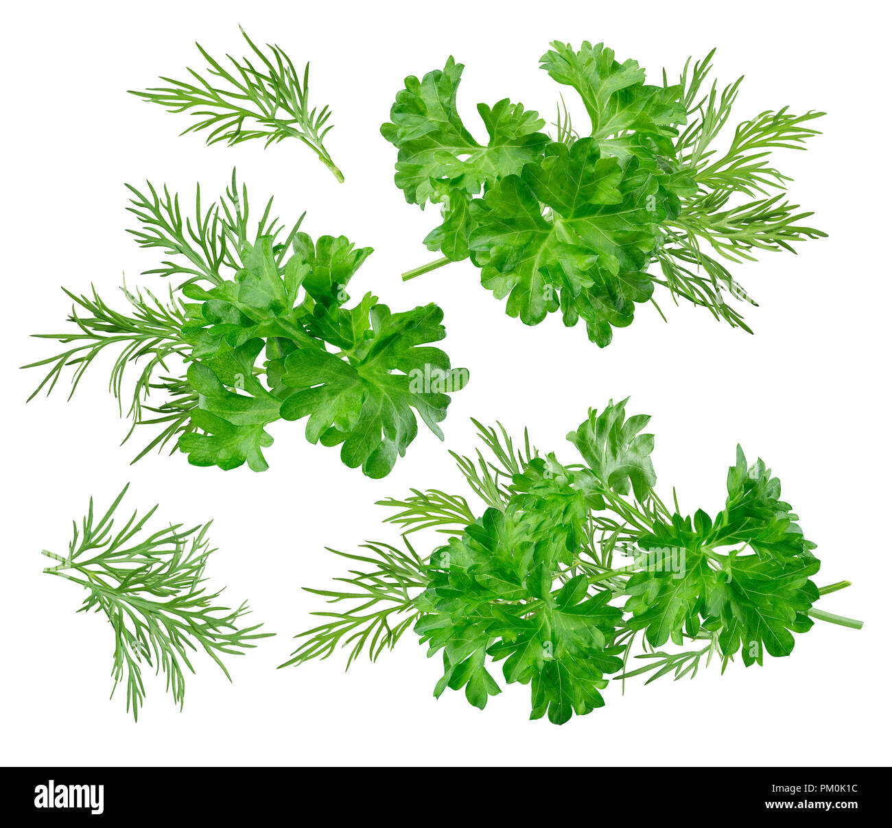 Herb dill parsley set path included isolated on white background as
